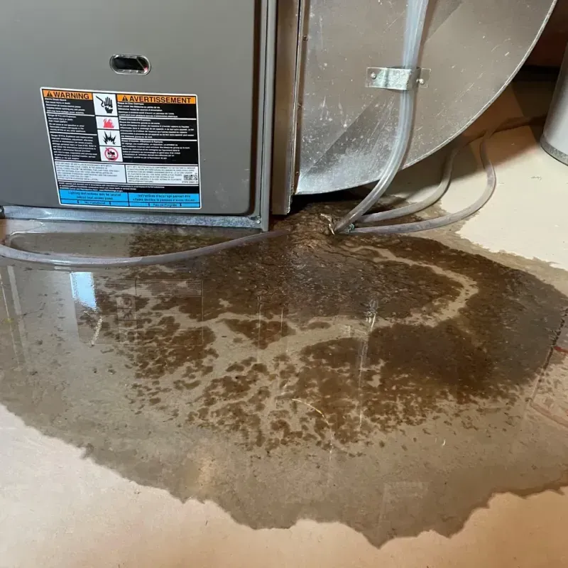 Appliance Leak Cleanup in Bremen, GA